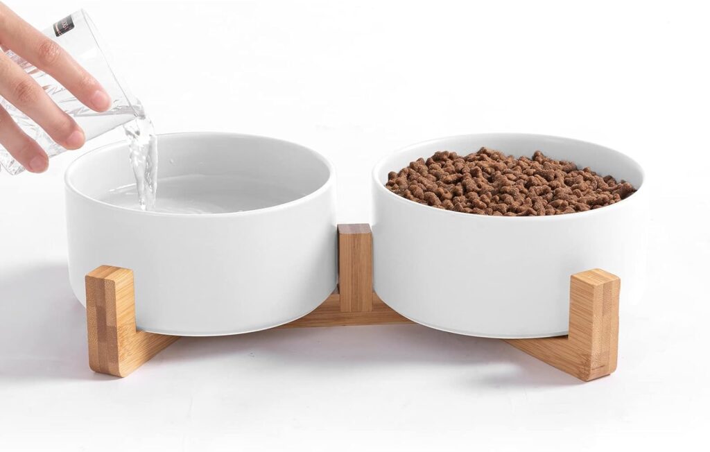 The 5 Best Cat Food Bowls Feeding Feline Friends