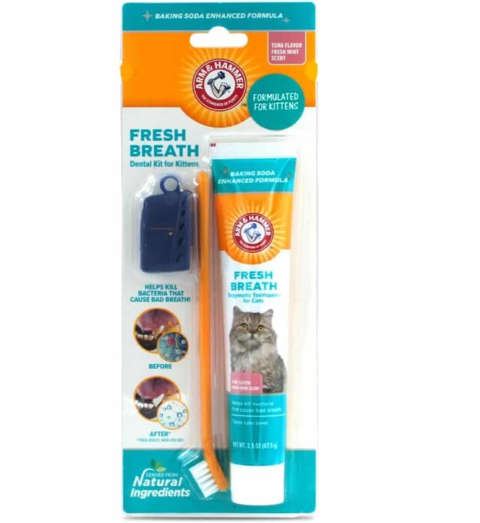 5 Best Cat Toothpaste Tips for Choosing the Right Dental Care