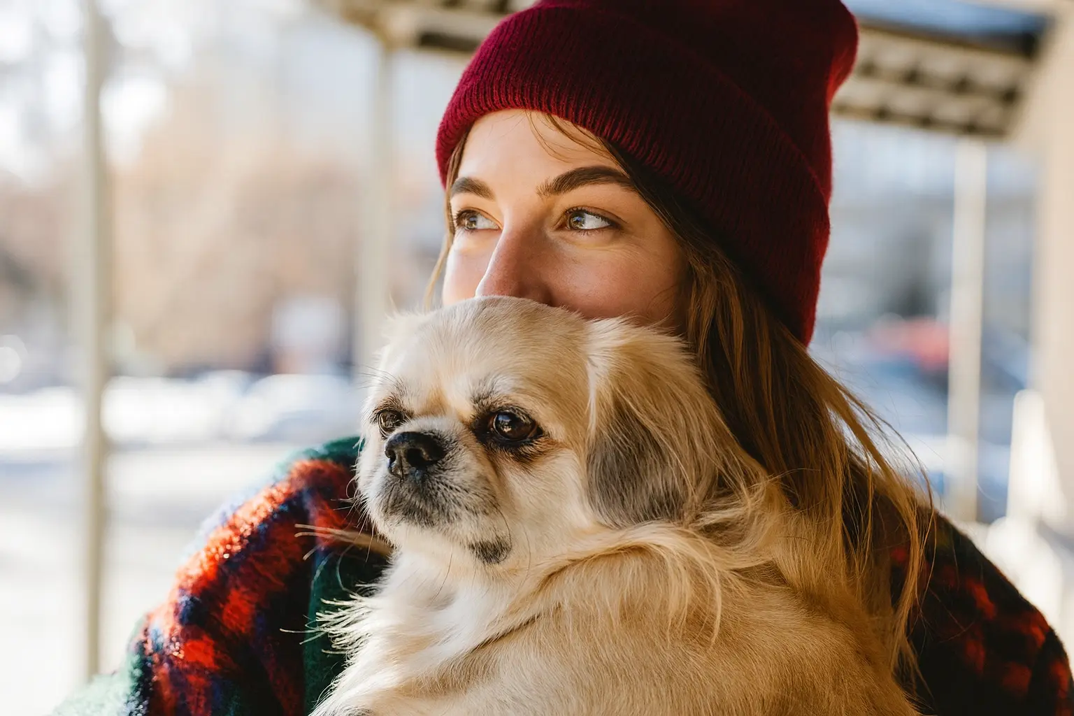 A happy and healthy dog representing the longest-living dog breeds, running joyfully in a sunny field